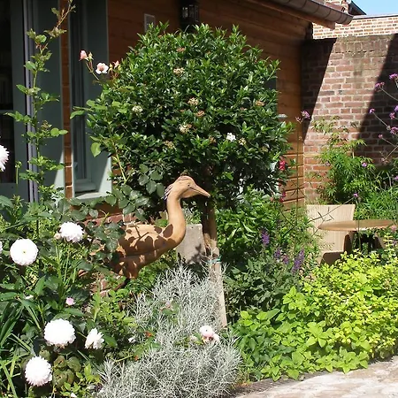 Des Hortillonnages Camon (Picardy)