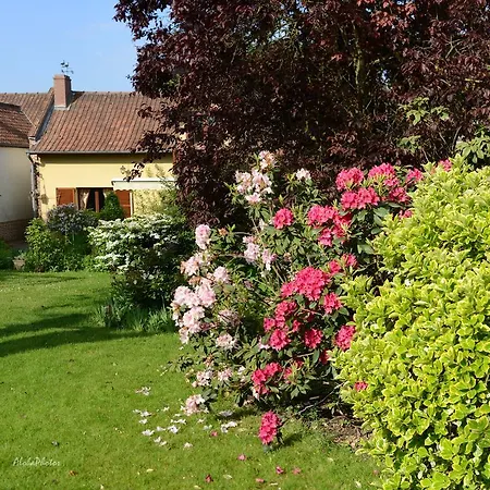Hébergement de vacances Des Hortillonnages
