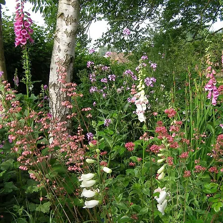 Des Hortillonnages Camon (Picardy)